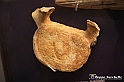 VBS_9184 - Museo Paleontologico - Asti